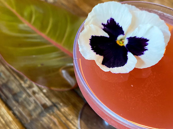 Hibiscus Kiss Cocktail from Joia Beach