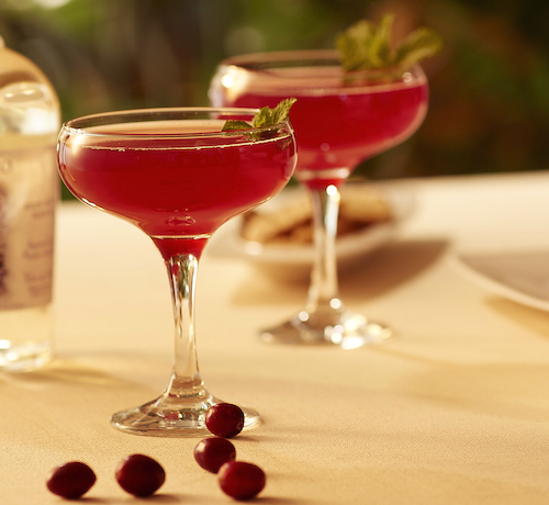 Cranberry Mojito cocktail