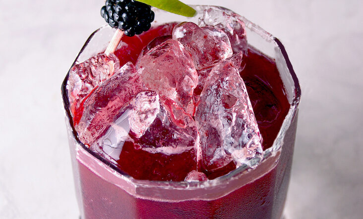 Blackberry Basil Spritzer